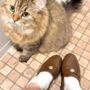 ヒメ日記 2025/09/30 10:17 投稿 すず 西船人妻花壇