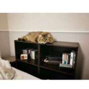 ヒメ日記 2025/10/01 22:19 投稿 すず 西船人妻花壇