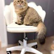 ヒメ日記 2025/10/15 10:21 投稿 すず 西船人妻花壇