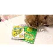 ヒメ日記 2025/10/22 21:19 投稿 すず 西船人妻花壇