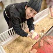 ヒメ日記 2025/11/06 16:20 投稿 すず 西船人妻花壇