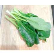 ヒメ日記 2025/11/25 18:16 投稿 すず 西船人妻花壇