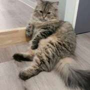 ヒメ日記 2026/01/22 08:18 投稿 すず 西船人妻花壇