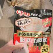 ヒメ日記 2026/01/28 14:20 投稿 すず 西船人妻花壇