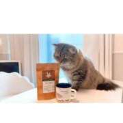 ヒメ日記 2026/02/04 08:17 投稿 すず 西船人妻花壇