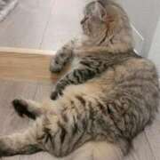 ヒメ日記 2026/02/08 22:51 投稿 すず 西船人妻花壇