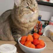 ヒメ日記 2026/02/17 10:58 投稿 すず 西船人妻花壇