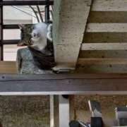 ヒメ日記 2025/09/20 13:12 投稿 由加 ミセスラウンジ東京