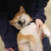 ヒメ日記 2025/09/29 21:50 投稿 由加 ミセスラウンジ東京