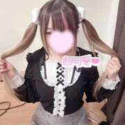 ヒメ日記 2026/02/23 07:21 投稿 ぷりん LEVEL1