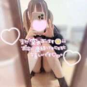 ヒメ日記 2026/02/24 23:31 投稿 ぷりん LEVEL1