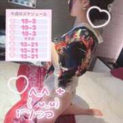 ヒメ日記 2026/05/18 22:51 投稿 ぷりん LEVEL1