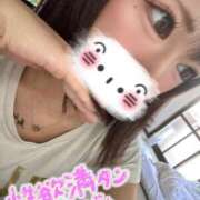 モモチ 密着…🏨 きらめけ！にゃんにゃん学園in大宮