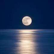 ヒメ日記 2025/11/05 23:42 投稿 ゆい 沼津人妻花壇