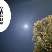 ヒメ日記 2025/11/06 23:34 投稿 ゆい 沼津人妻花壇