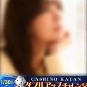 ヒメ日記 2026/01/31 17:03 投稿 ゆい 沼津人妻花壇