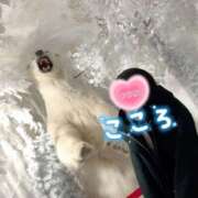 こころ 私の口癖♡♡ ニュー不夜城