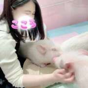 こころ 新感覚 ニュー不夜城