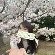 ヒメ日記 2026/04/08 08:17 投稿 こころ ニュー不夜城