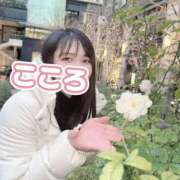 ヒメ日記 2026/04/13 06:26 投稿 こころ ニュー不夜城