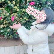 ヒメ日記 2026/04/15 23:46 投稿 こころ ニュー不夜城