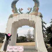 ヒメ日記 2026/05/01 21:56 投稿 こころ ニュー不夜城