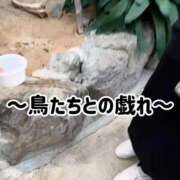 こころ 毎回変わらない🤣 ニュー不夜城