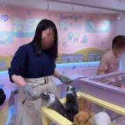 ヒメ日記 2026/09/23 22:26 投稿 こころ ニュー不夜城