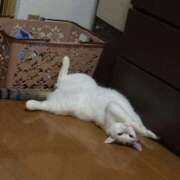 ヒメ日記 2025/09/13 09:25 投稿 なのは カワサキEROTIC（ソープランド）