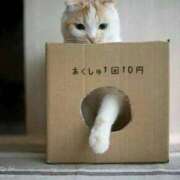 ヒメ日記 2025/11/04 19:53 投稿 なのは カワサキEROTIC（ソープランド）