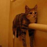 なのは おはようございます！ カワサキEROTIC（ソープランド）