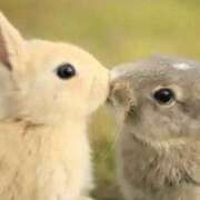 ヒメ日記 2025/12/08 19:44 投稿 なのは カワサキEROTIC（ソープランド）