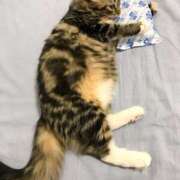 ヒメ日記 2025/12/08 22:56 投稿 なのは カワサキEROTIC（ソープランド）