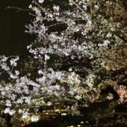 なのは お花見 カワサキEROTIC（ソープランド）