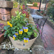 ヒメ日記 2025/11/29 13:20 投稿 ねね『Fカップ』 ぽよぽよランド