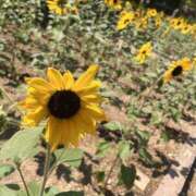 ヒメ日記 2025/10/01 15:10 投稿 ほのか『Jカップ』 ぽよぽよランド