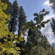 ヒメ日記 2025/10/03 13:40 投稿 ほのか『Jカップ』 ぽよぽよランド