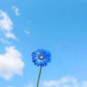 ヒメ日記 2025/11/15 14:31 投稿 ほのか『Jカップ』 ぽよぽよランド