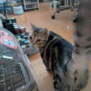 ヒメ日記 2025/09/12 10:21 投稿 千里 昼顔妻 五反田店