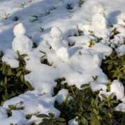 ヒメ日記 2026/02/15 15:04 投稿 千里 昼顔妻 五反田店