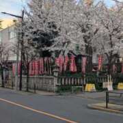 ヒメ日記 2026/04/11 12:16 投稿 千里 昼顔妻 五反田店