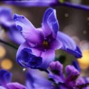 ヒメ日記 2025/07/30 13:10 投稿 まいこ 小田原人妻城