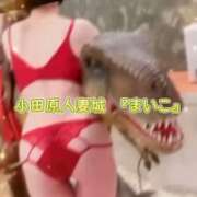 ヒメ日記 2025/09/03 14:46 投稿 まいこ 小田原人妻城