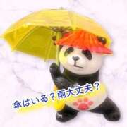 ヒメ日記 2025/09/04 13:53 投稿 まいこ 小田原人妻城