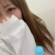 ヒメ日記 2026/04/09 12:47 投稿 あんず 京都ホテヘル倶楽部