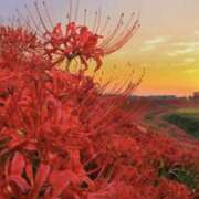 ヒメ日記 2025/09/23 09:31 投稿 水野 あや こあくまな熟女たち伊勢崎店（KOAKUMAグループ）