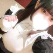 ヒメ日記 2025/11/12 15:19 投稿 ひより♡低身長×巨乳エロっ子♡ ぴゅあぱい熊本♡ぽちゃかわ巨乳専門♡誠実すぎる風俗♡返金保証店♡