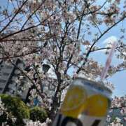 ヒメ日記 2026/04/02 12:09 投稿 しゅり♡甘えん坊な清楚女子♡ ぴゅあぱい熊本♡ぽちゃかわ巨乳専門♡誠実すぎる風俗♡返金保証店♡