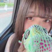 ヒメ日記 2026/07/20 16:09 投稿 しゅり♡甘えん坊な清楚女子♡ ぴゅあぱい熊本♡ぽちゃかわ巨乳専門♡誠実すぎる風俗♡返金保証店♡