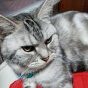 ヒメ日記 2025/08/14 19:46 投稿 渋谷　かな ギン妻パラダイス 谷九店